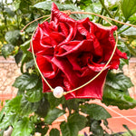 Cargar imagen en el visor de la galería, Pulsera Mamá
